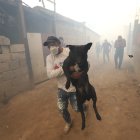 El humo y la ceniza pueden afectar negativamente a los animales.