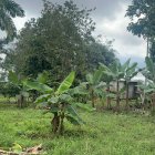 En esta finca hallaron otro cuerpo y sería el sitio donde cometieron los crímenes.