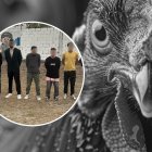 Los sospechosos intentaron secuestrar a un señor y a su hijo.