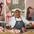 Los caballitos de mar se mantenían en un restaurante en Milagro.