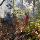 El incendio fue controlado luego de 12 horas.