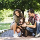 Las mascotas deben tener visitas al veterinario recurrente