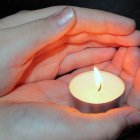 Cada empresa distribuidora de electricidad elabora los cronograma