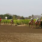 El clásico EXTRA, de la hípica, se disputó en Samborondón.