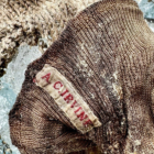 Posibles restos de Andrew “Sandy” Irvine.