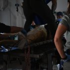 Las atenciones veterinarias se planifican de acuerdo a los cortes de luz, pero no siempre se respetan.