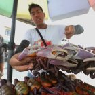 Jefferson hasta da consejos de en qué meses están más ‘gordos’ los cangrejos.