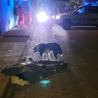 Sujetos a bordo de una motocicleta balearon a la víctima.