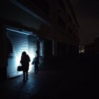 El proyecto también permite que las empresas importen gas natural para autoconsumo.