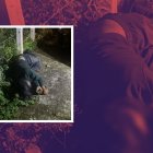 Los pillos habrían estado en un vehículo gris cuando quisieron cometer el delito.