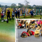 Eventos turísticos, elección de reinas, cultura y tradición, Morona Santiago celebra su aniversario de provincialización