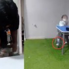 Videos en redes sociales muestran cómo los pequeños eran atados de cuerpo y boca en este centro terapeuta.