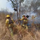 Se desconoce el total de hectáreas afectadas por el intenso fuego.