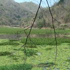 En cuerpo fue encontrado flotando en esta laguna.