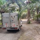 La tragedia ocurrió en una biofábrica de una zona rural de Quevedo.