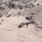 Los restos fueron hallados en un sitio que arrojan basura en la comuna Pechiche de la parroquia Chanduy.