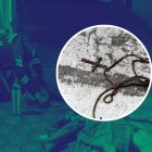 El cuerpo de la víctima continúa en la morgue.