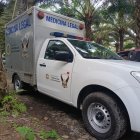 Los cuerpos fueron retirados tras el hallazgo en este camino de El Esfuerzo.