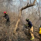 Los bomberos lograron apagar el fuego luego de dos días de labores.