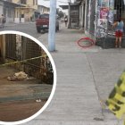 La cabeza fue encontrada junto a la vereda de una casa esquinera.