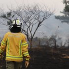 Bomberos llegaron la sitio para controlar el fuego en la autopista Narcisa de Jesús.