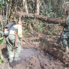 Cerca de 4 hectáreas de vegetación se han consumido por el fuego.