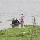 Cuatro cuerpos flotaban en un lago cercano a la vía a la costa.