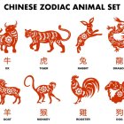 Todo depende del signo zodiacal de cada persona dentro del horóscopo chino.