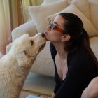 El caniche fue rescatado de las calles en diciembre del año pasado y llevado a una fundación.