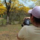 Miles de turistas son atraídos por este espectáculo natural que ocurre una vez al año.