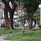 Así fue como resultó el poste luego de la caída de las ramas.