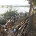 Los cuerpos fueron encontrados a orillas de la cooperativa Esmeraldas Chiquita