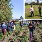 Personal municipal acudió al sitio donde se reportó el ataque a los perros.
