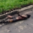 Al parecer, la víctima fue torturada antes de asesinarla y prenderle fuego.