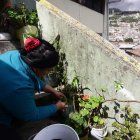 El producto que se recibe sirve para las plantas.