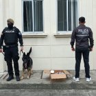 Agentes identificaron los paquetes sospechosos con ayuda de un can.