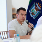 El presidente de la República, Daniel Noboa.