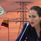 Inés Manzano, ministra de energía de Ecuador, insiste en que se está vendiendo electricidad a Colombia.