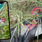 La pareja quedó sin vida sobre unos matorrales.