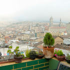 Consulta aquí el pronóstico del clima en Quito para este día de estación lluviosa.