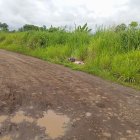 En un sector de Palenque fueron encontrados los cadáveres.
