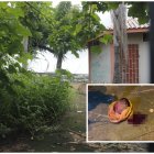 La cabeza fue encontrada en un parque.