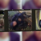 Un delincuente fue abatido por la Policía Nacional del Ecuador.