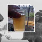 El problema viene desde hace 5 meses.