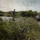 Los comuneros en Olón reclamaron ante la tala de vegetación por parte de Vinazin S. A.