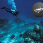 Las misteriosas profundidades del océano, hogar de especies aún por descubrir, que enfrentan los efectos del cambio climático.