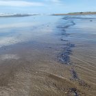 Las manchas de petróleo alcanzaron la playa Las Palmas en Esmeraldas.