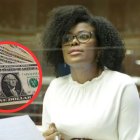 La legisladora dijo no ser vocera económica del proyecto.