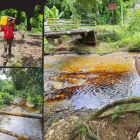 La rotura del Sistema de Oleoducto Transecuatoriano (SOTE) el pasado jueves 13 de marzo, desató una tragedia ambiental