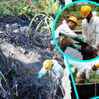 Jóvenes de las comunidades afectadas forman parte de los equipos de limpieza.
